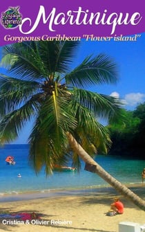 Martinique - Voyage Experience