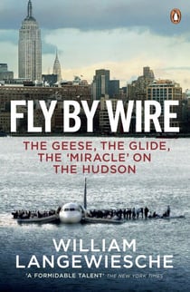Fly By Wire - The Geese, The Glide, The 'Miracle' on the Hudson
