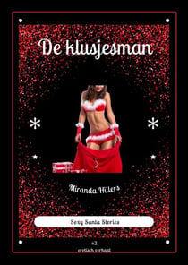 De klusjesman - Santa Stories, #2