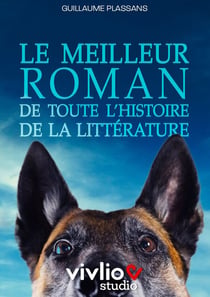 Le Meilleur Roman de Toute l'Histoire de la Littérature