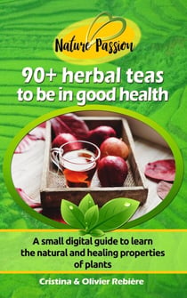 Herbal Teas to be in Good Health - Nature Passion