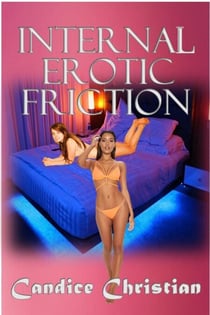 Internal Erotic Friction