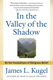In the Valley of the Shadow - On the Foundations of Religious Belief