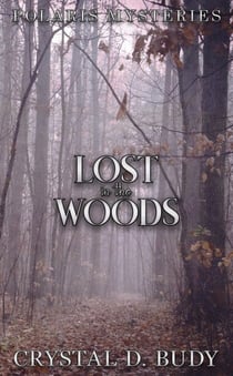Lost in the Woods - Polaris Mysteries, #3