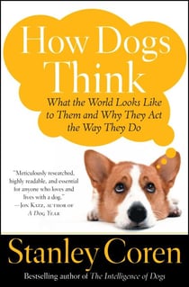 How Dogs Think - Understanding the Canine Mind