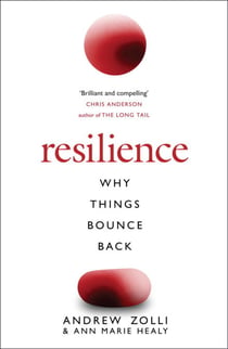 Resilience - Why Things Bounce Back