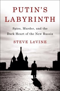 Putin's Labyrinth - Spies, Murder, and the Dark Heart of the New Russia