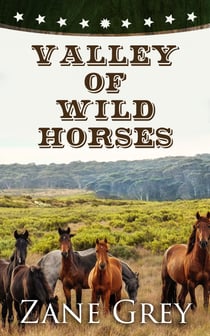 Valley of Wild Horses - Western Classic