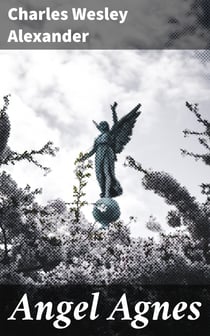 Angel Agnes - The Heroine of the Yellow Fever Plague in Shreveport
