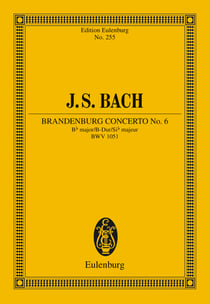 Brandenburg Concerto No. 6 Bb major - BWV 1051