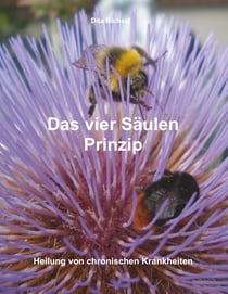 Das vier Säulen Prinzip - Heilung von chronischen Krankheiten
