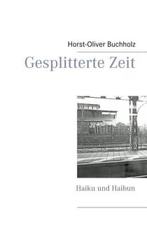 Gesplitterte Zeit - Haiku und Haibun