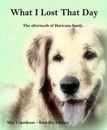 What I Lost That Day - The aftermath of Hurricane Sandy