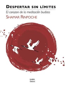 Despertar sin limites - el corazon  de la meditacion budista