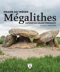 Mégalithes - chasse au trésor autour du Grand-Pressigny