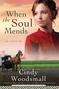 When the Soul Mends - Book 3 in the Sisters of the Quilt Amish Series
