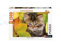 Puzzle chaton automne - 1500 pièces