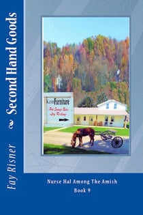 Second Hand Goods - Nurse Hal Among The Amish, #9