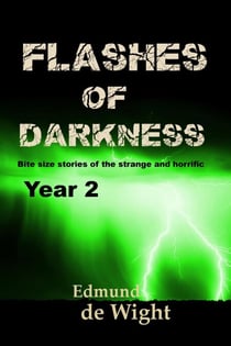 Flashes of Darkness Year 2 - Flashes of Darkness, #2