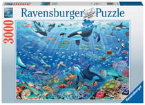 Ludendo - Puzzle 3000 pièces Ravensburger - Tigres au lagon - Puzzles  Adultes - Rue du Commerce