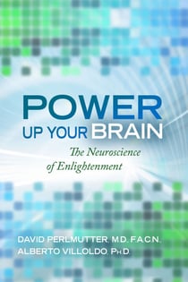 Power Up Your Brain - The Neuroscience of Enlightenment