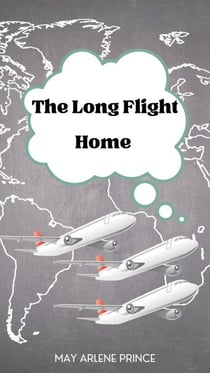 The Long Flight Home