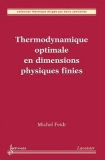 Thermodynamique optimale en dimensions physiques finies