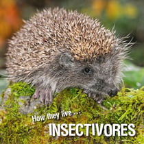 How they live... Insectivores - Learn All There Is to Know About These Animals!