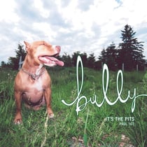 Bully - It's the Pits