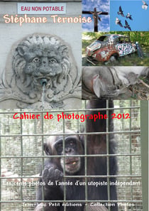 Cahier de photographe 2012 - Les cents photos de l'année d'un utopiste indépendant