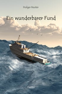 Ein wunderbarer Fund - Thriller