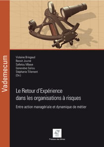 Le Retour d'Expérience dans les organisations à risques - Entre action managériale et dynamique de métier