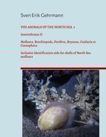 The Animals Of The North Sea 3 - Invertebrates II - Mollusca, Brachiopoda, Porifera, Bryozoa, Cnidaria et Ctenophora Inclusive identification aids for shells of North Sea molluscs