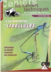 À la rencontre des Libellules