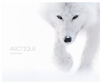 Arctique