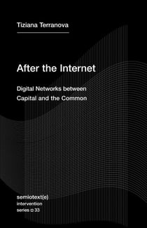 After the Internet - Digital Networks between Capital and the Common