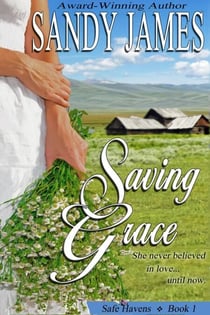 Saving Grace (Safe Havens 1) - Safe Havens, #1