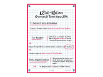 50 fiches de révision - 14,8 x 21 cm - Révision 2.0 Oxford - Petits carreaux - cadre rouge