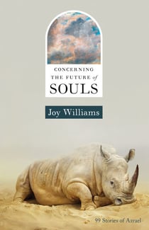 Concerning the Future of Souls - 99 Stories of Azrael