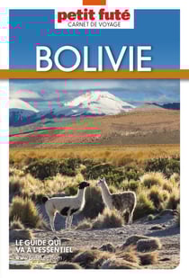 Guide Bolivie 2024 Carnet Petit Futé