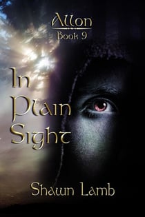 In Plain Sight - Allon, #9