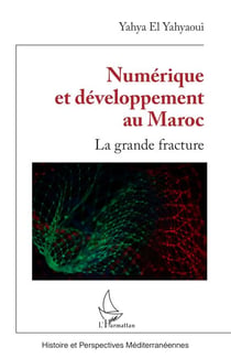 Numérique et développement au Maroc - La grande fracture