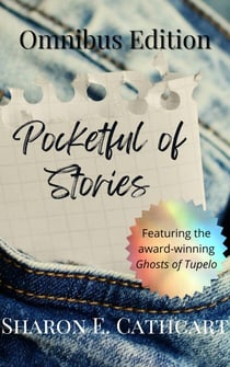 Pocketful of Stories: The Omnibus Edition - Pocketful of Stories