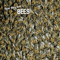 How they live... Bees - Learn All There Is to Know About These Animals!
