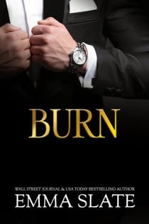 Burn - SINS Series, #6