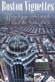 Boston Vignettes - Winter Street