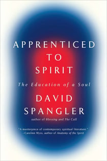 Apprenticed To Spirit - The Education of a Soul