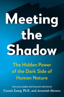Meeting the Shadow - The Hidden Power of the Dark Side of Human Nature