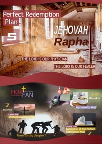 Perfect Redemption Plan 5 - Perfect Redemption Plan, #5