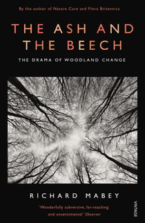 The Ash and The Beech - The Drama of Woodland Change